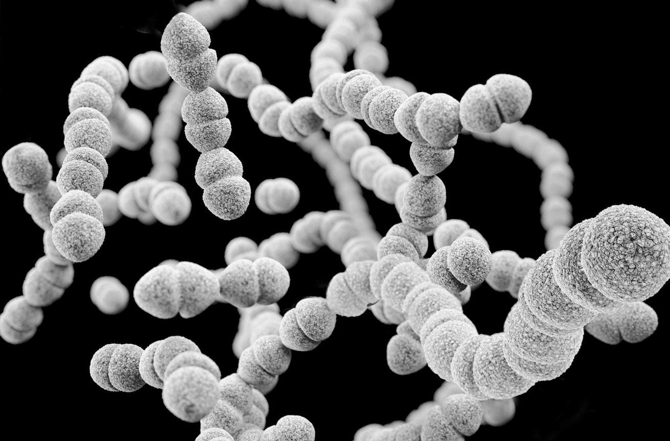 Why the beauty industry needs microbiome skincare more than ever